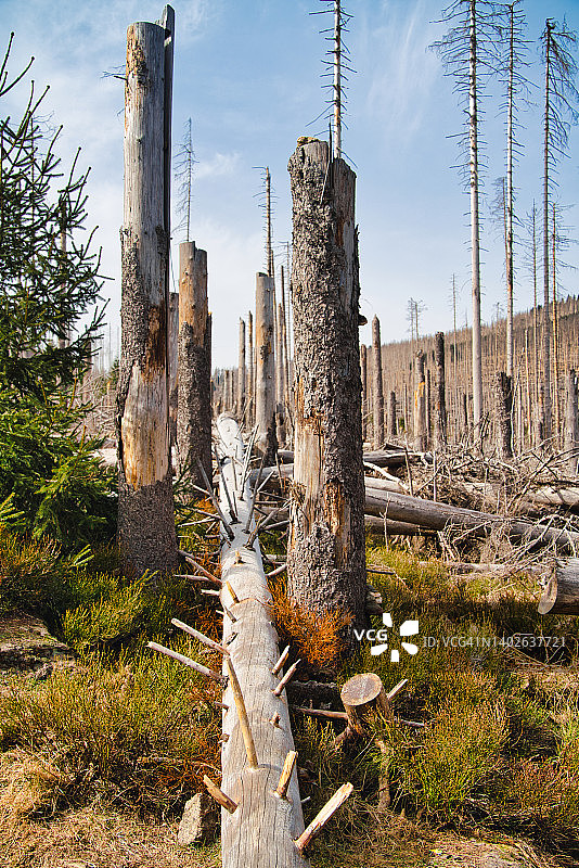 布罗肯/哈茨山自然保护区远足气候变化图片素材