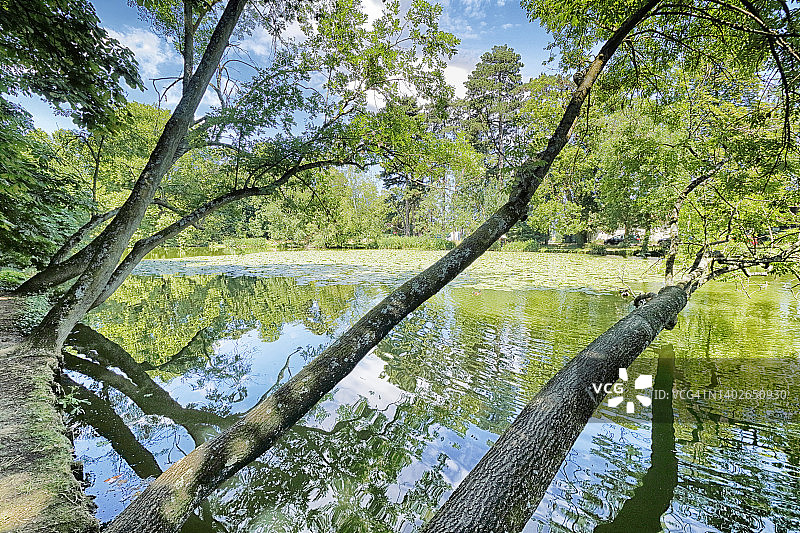 法国巴黎万森森林公园图片素材
