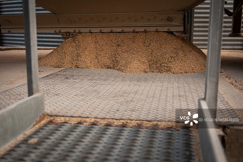 水稻收割图片素材