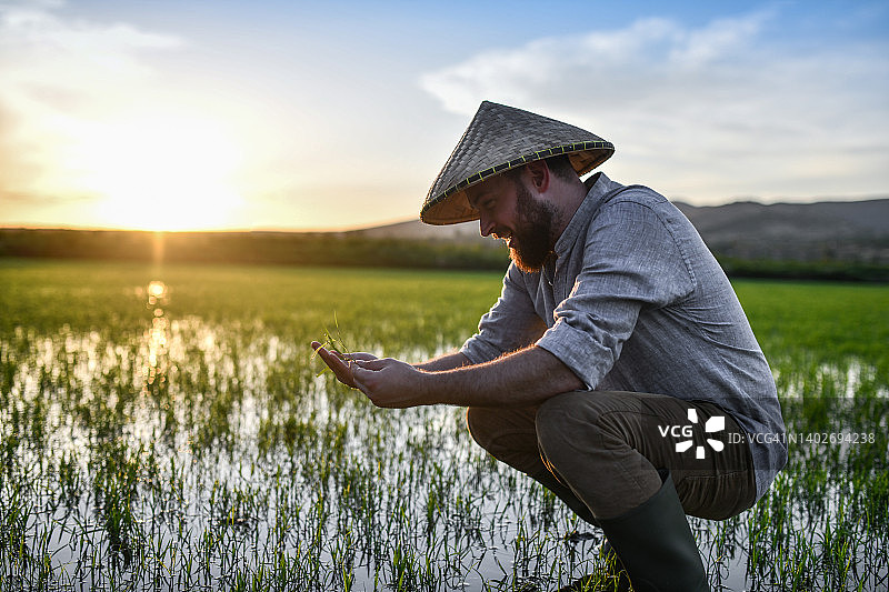 戴斗笠的微笑胡须农民检查稻田杂草图片素材