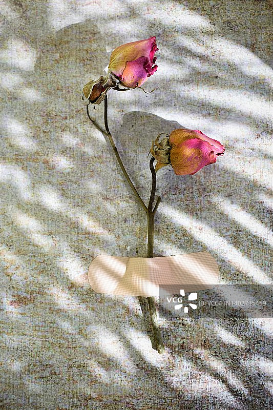 破碎的爱情概念图片素材