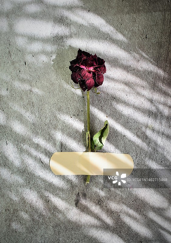 破碎的爱情概念图片素材