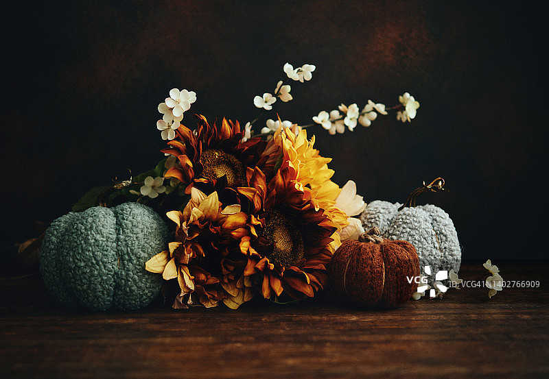针织南瓜感恩节静物，向日葵花束，情绪化场景图片素材
