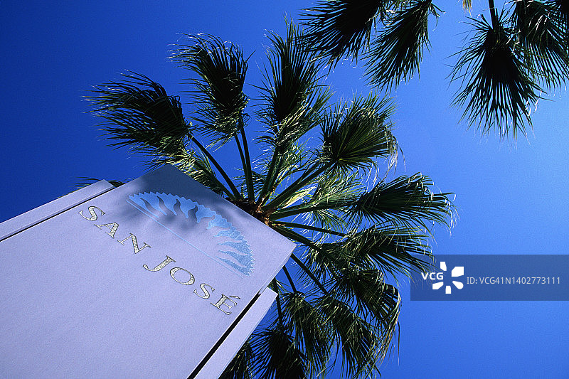 圣何塞地名标志和棕榈树 - 加利福尼亚州圣何塞图片素材