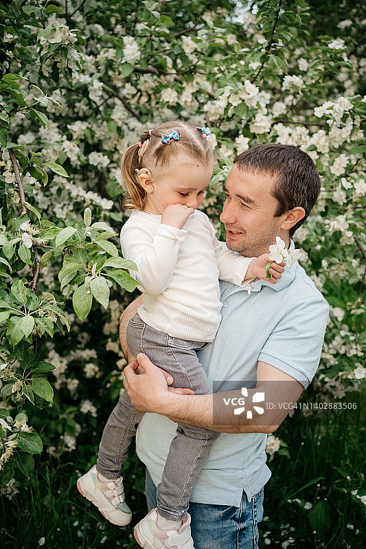 爸爸抱着戴着人工耳蜗的女儿，在盛开的苹果树下图片素材