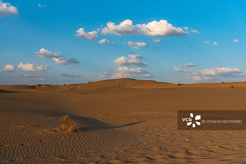 印度拉贾斯坦邦斋沙默尔图片素材