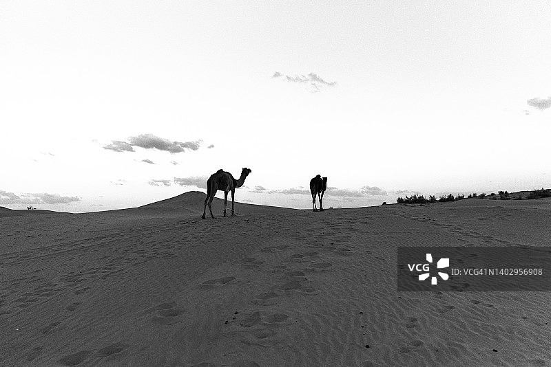 印度拉贾斯坦邦斋沙默尔图片素材