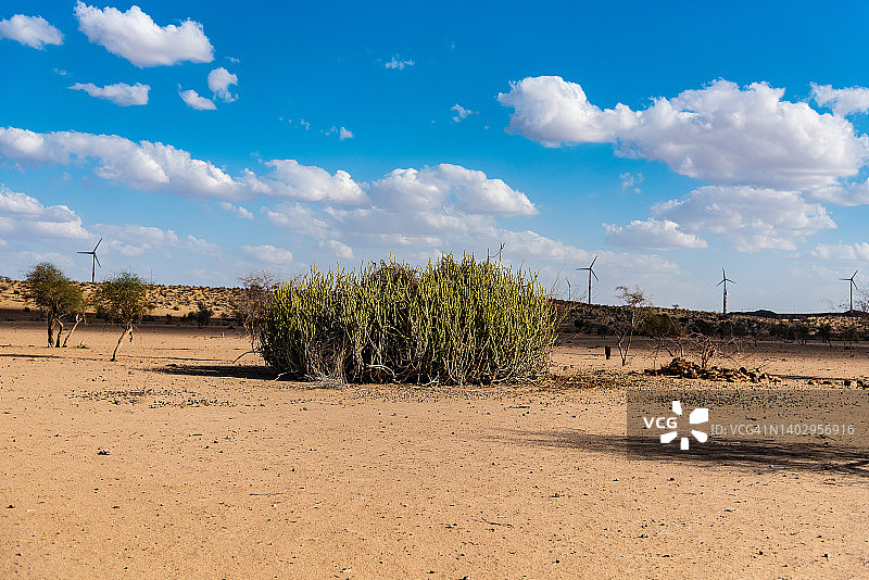 印度拉贾斯坦邦斋沙默尔图片素材