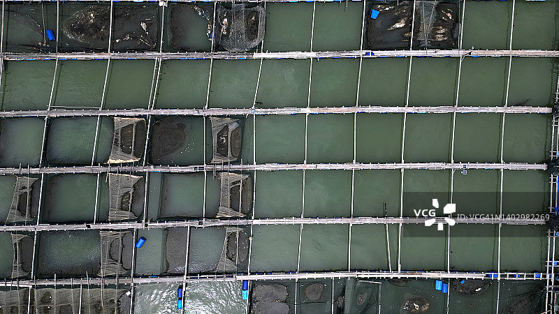 亚洲的养鱼场水产养殖，无人机视角图片素材