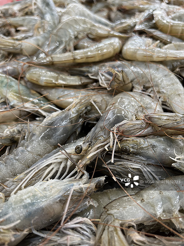 新鲜生虾图片素材
