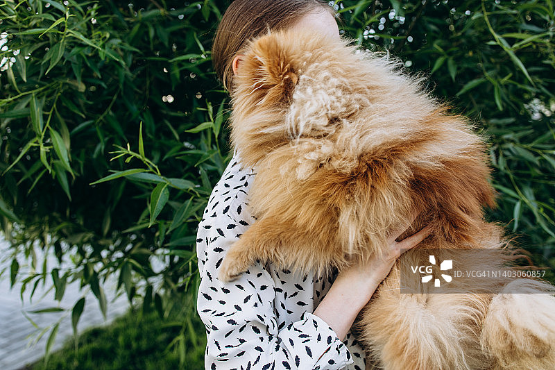 女主人手中的松狮犬图片素材