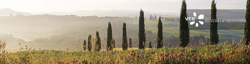 清晨的柏树，意大利托斯卡纳奥尔恰谷维塔莱塔教堂图片素材