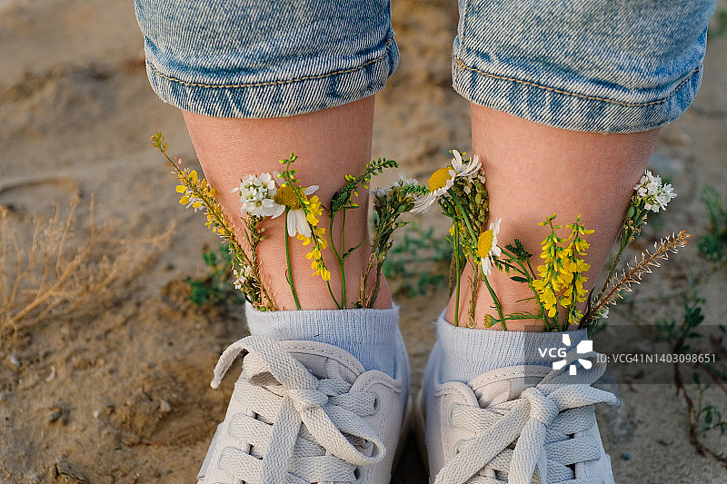 运动鞋中的美丽野花：一位女士或少女穿着时尚的运动鞋和袜子，里面装满了绿色草药和鲜花，以大自然为背景，清新洁净图片素材