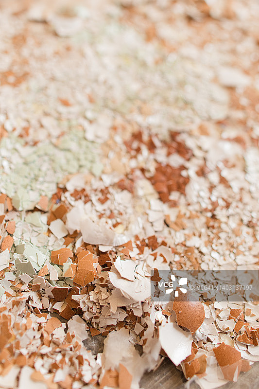 棕色和蓝色散养鸡蛋壳，压碎后用作室内植物和室外花园的天然钙肥图片素材