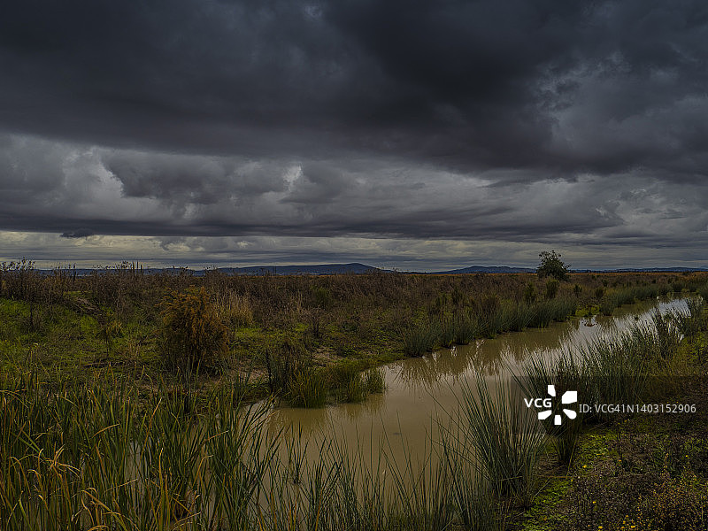 维多利亚州中部旺加拉塔区的温顿湿地图片素材