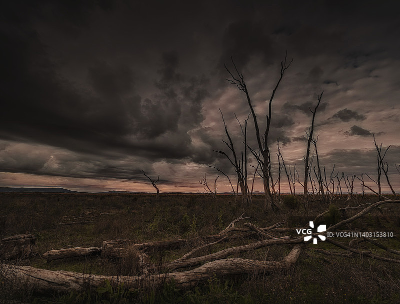 维多利亚州中部旺加拉塔区的温顿湿地图片素材