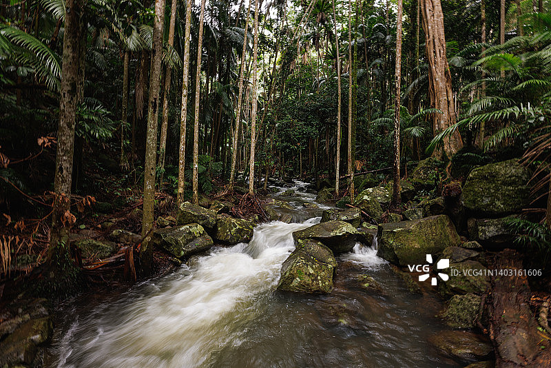 澳大利亚坦博林国家公园的雨林与溪流图片素材