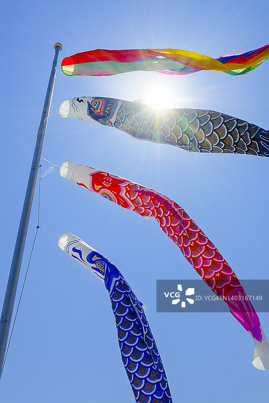 空中飘扬的鲤鱼旗图片素材