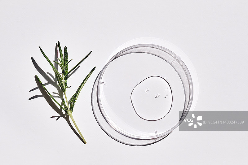 具有透明化妆凝胶质地和迷迭香小枝以及硬阴影的培养皿：用于保湿和美白皮肤的化妆品美容概念图片素材
