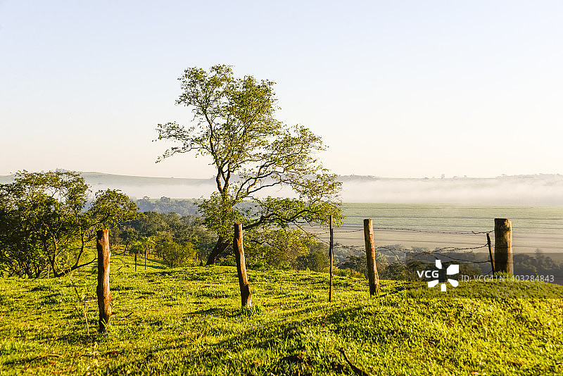 巴西农场的图片图片素材