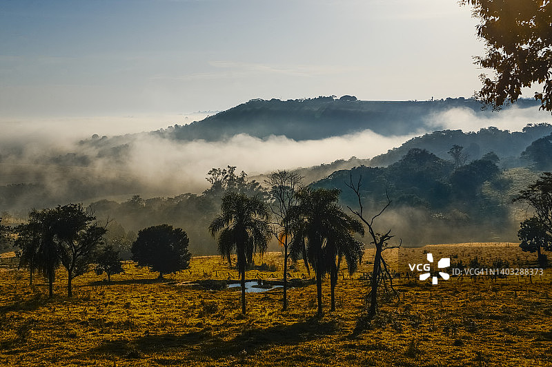 巴西农场的图片图片素材
