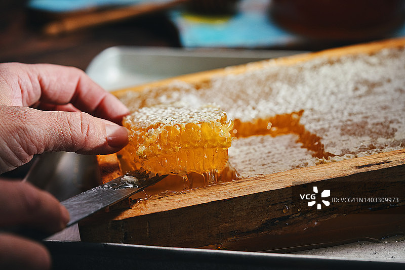 健康蜂巢蜂蜜图片素材