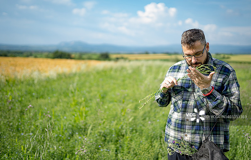 男人采集草药图片素材
