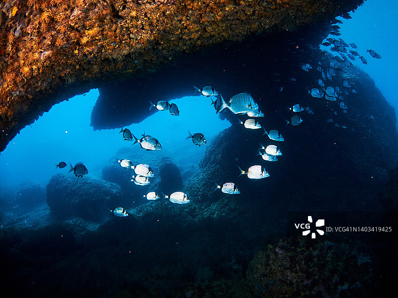 水下地中海风光图片素材