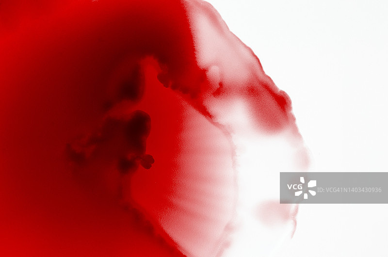 在白色背景上滑动的液体红色油漆。图片素材