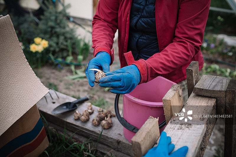 女人戴着防护手套拿着花卉图片素材