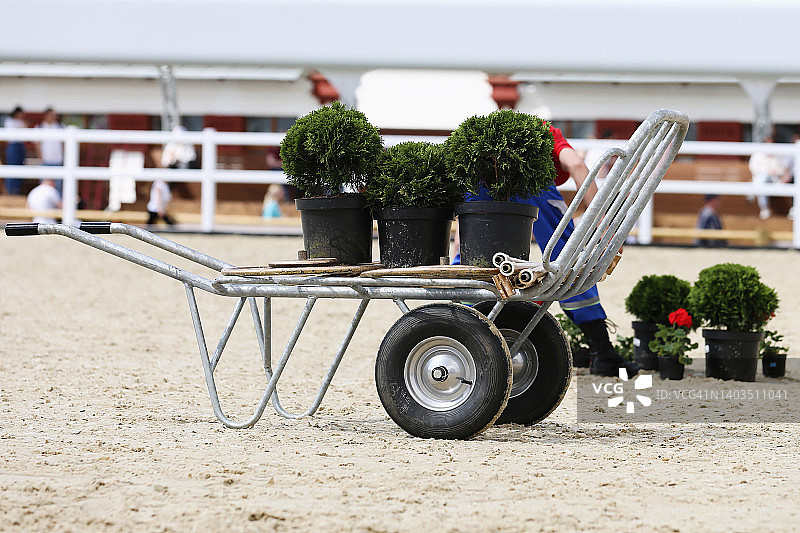 待种植的绿色装饰盆栽植物图片素材