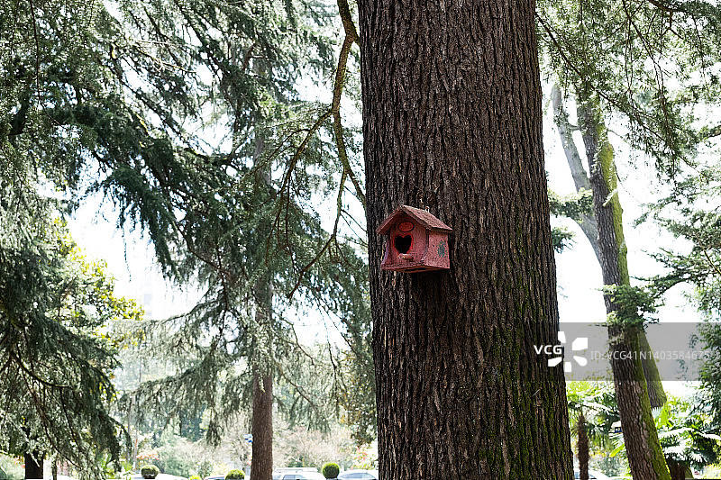 森林树干上为松鼠或鸟类建造的木制小屋，动物关爱图片素材