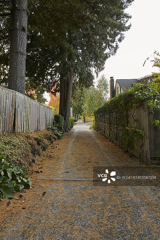 典型的太平洋西北部波特兰秋季小巷图片素材