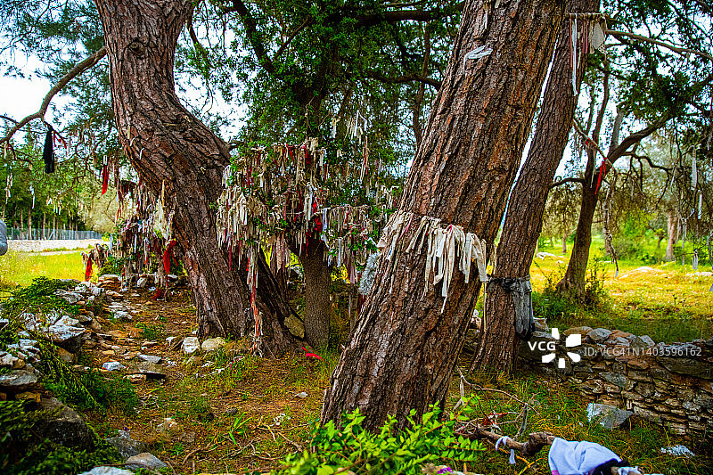 土耳其博德鲁姆的许愿树图片素材