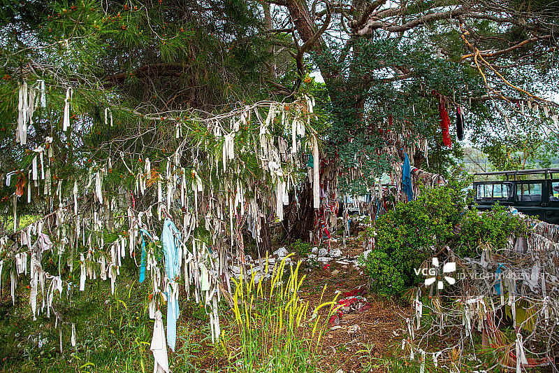 土耳其博德鲁姆的许愿树图片素材