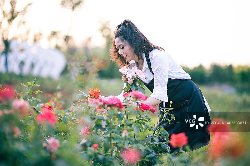 享受园艺图片素材