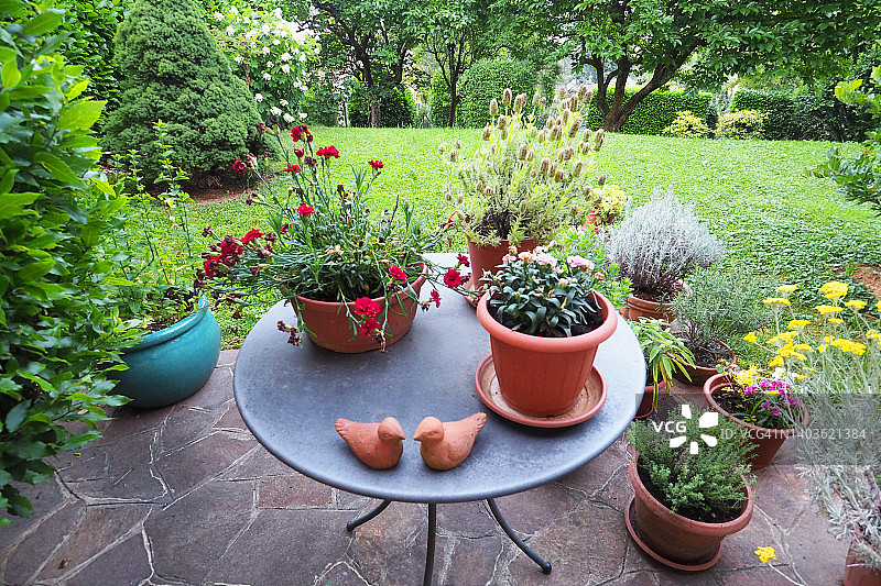 带花盆的后花园一角图片素材