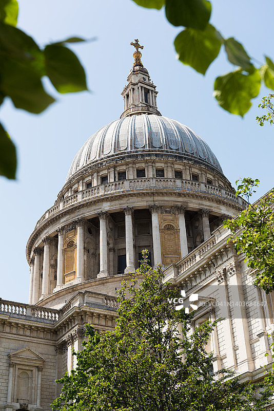 伦敦圣保罗大教堂与树木图片素材