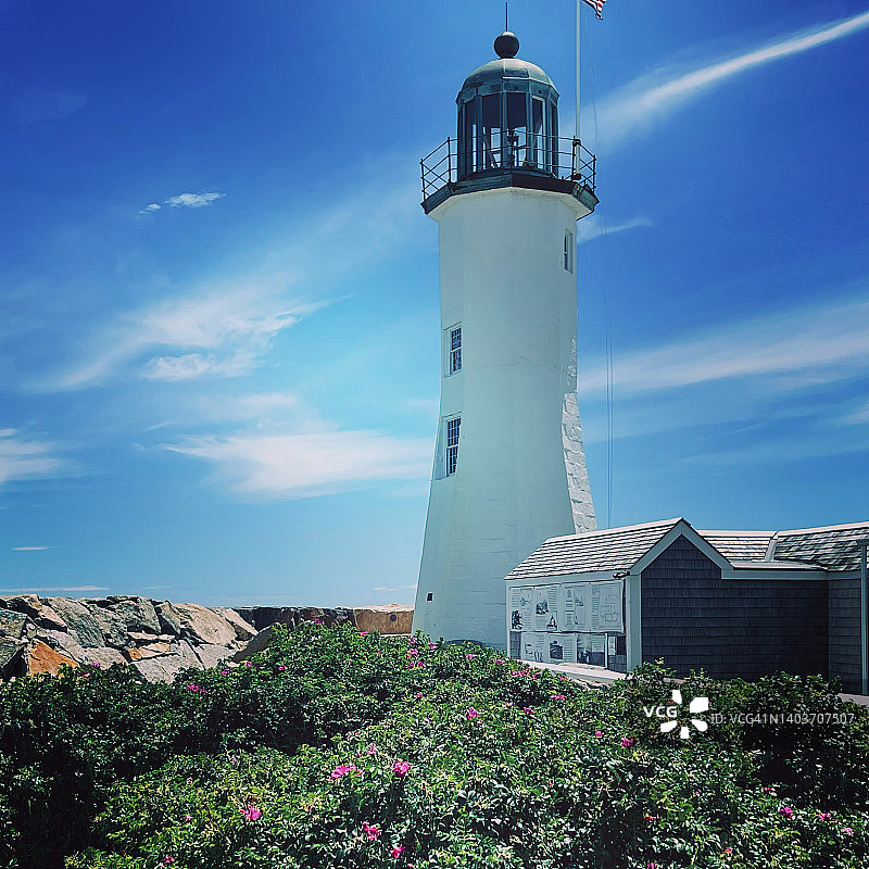 斯库西特灯塔与沙滩玫瑰图片素材