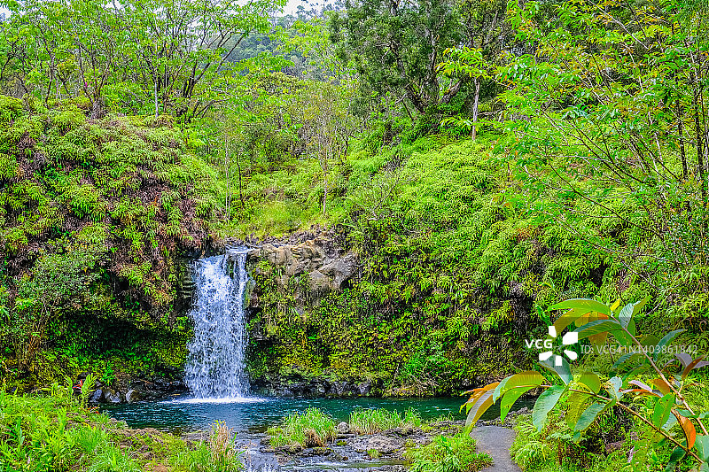 哈纳公路风景驾驶之旅—美国夏威夷毛伊岛图片素材