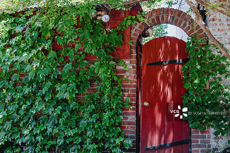 常春藤覆盖砖墙的红色花园门图片素材