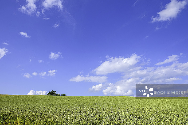 夏季的北海道图片素材