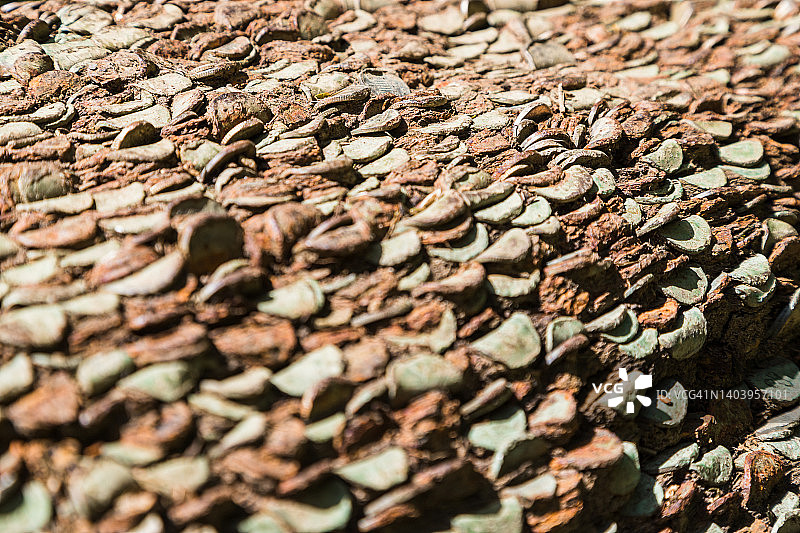 斯维拉峡谷的摇钱树图片素材