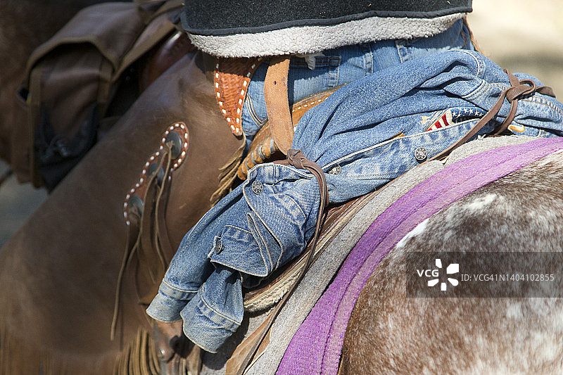 大自然中的紫色挑战图片素材