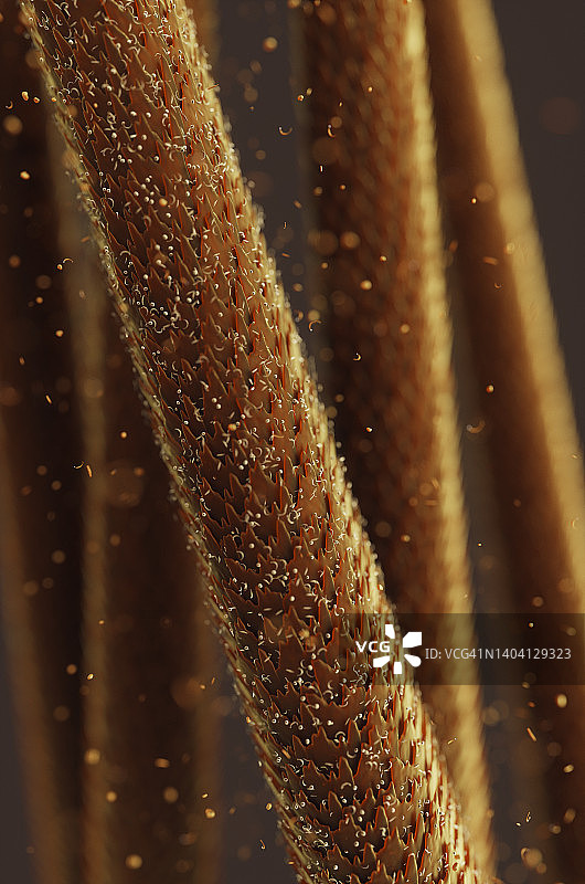 显微镜下人类头发角质层和头皮屑的特写3D渲染图图片素材