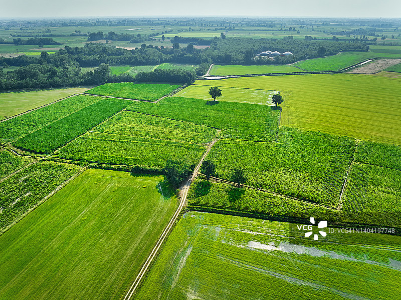 意大利伦巴第帕丹平原的稻田图片素材