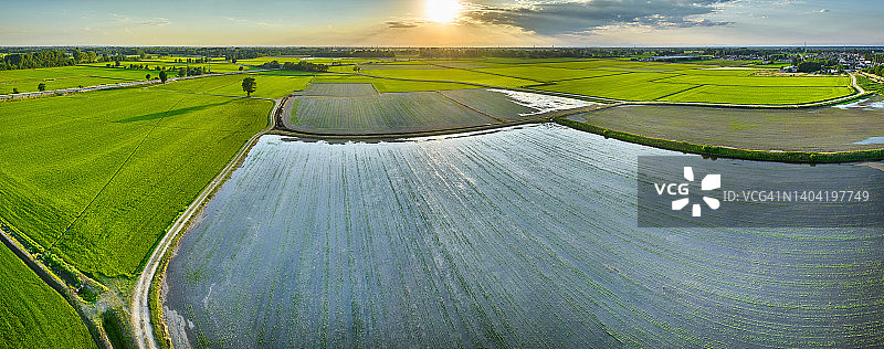 意大利伦巴第帕丹平原的稻田图片素材