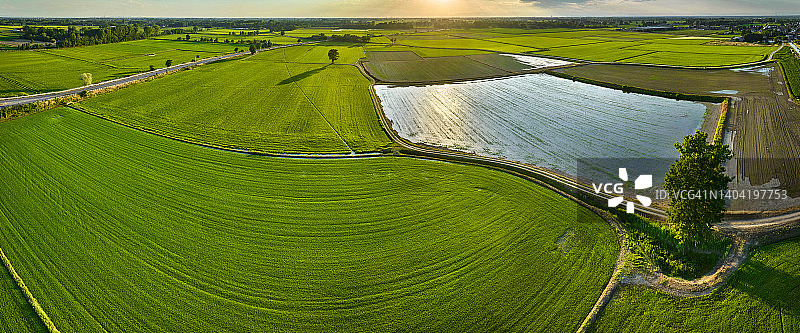 意大利伦巴第帕丹平原的稻田图片素材