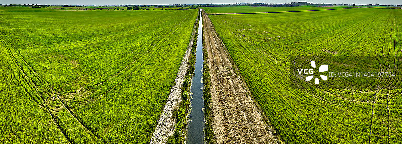 意大利伦巴第帕丹平原的稻田图片素材