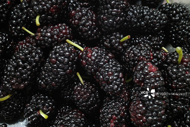 浸泡在水中的桑葚图片素材